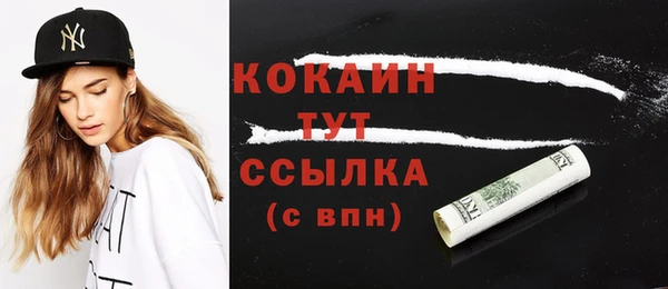 стаф Богданович