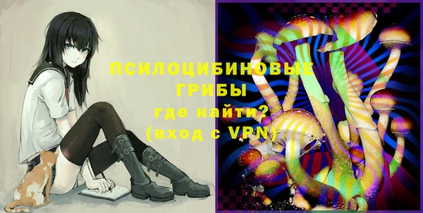 мяу мяу мука Баксан