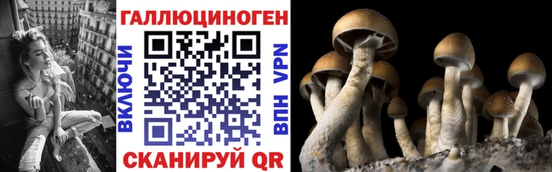 Псилоцибиновые грибы прущие грибы  darknet состав  Бугульма 